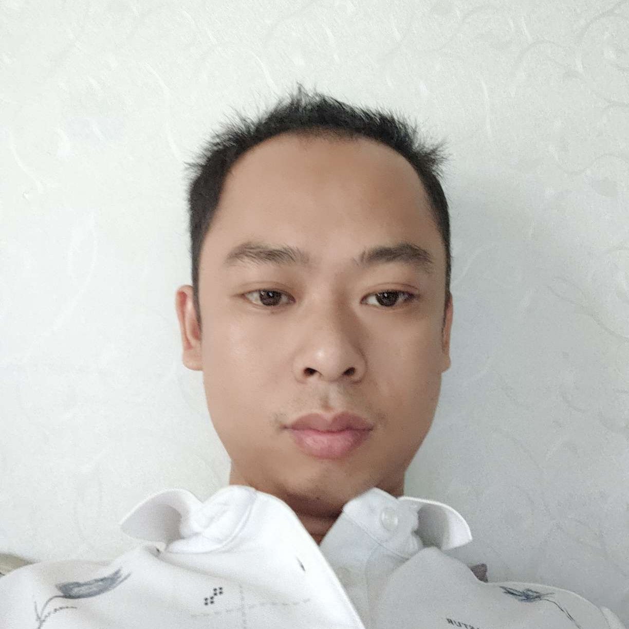 后来苦恋大树的照片