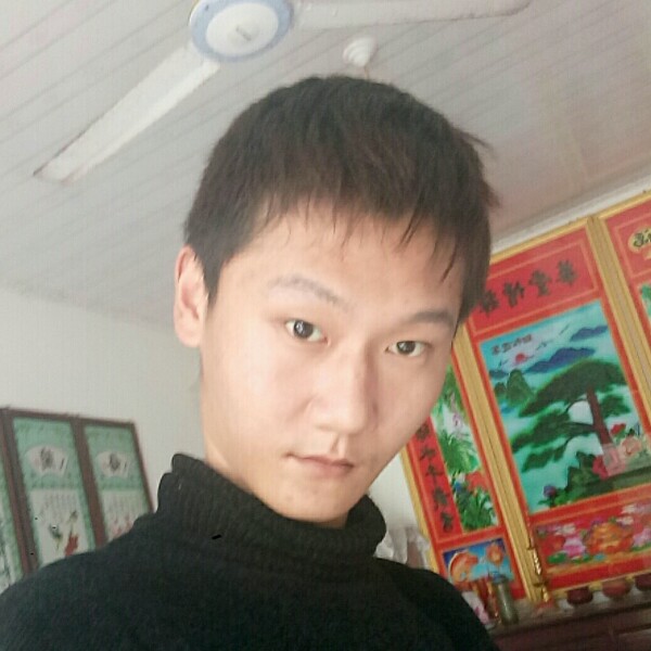 灰狼泪了善良的照片