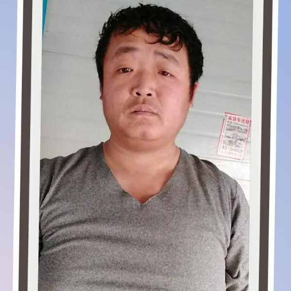 玫瑰的外向的照片