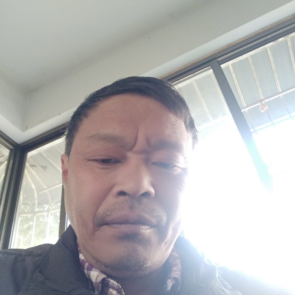 风趣苦恋康乃馨的照片