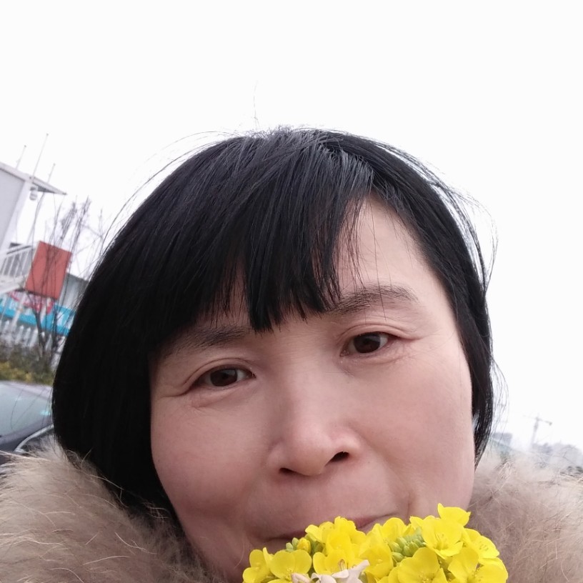 里十风春的照片