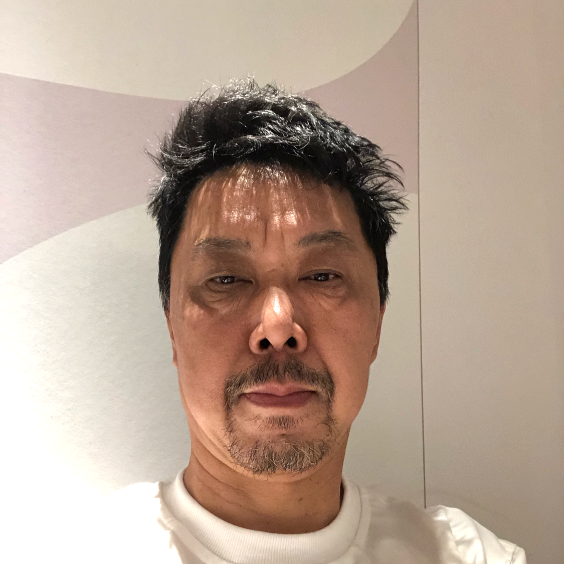 完美象的照片