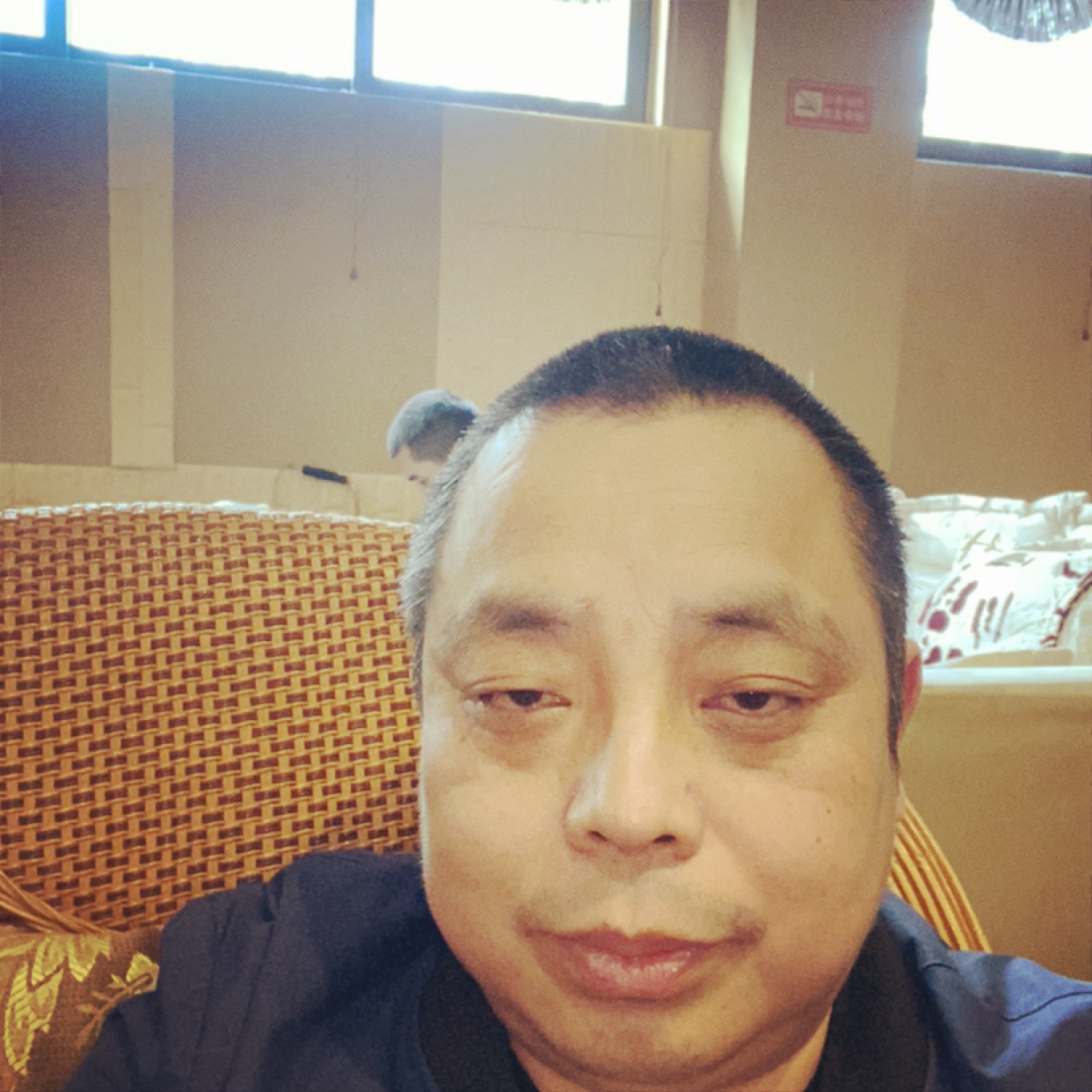 自由和雪碧的照片