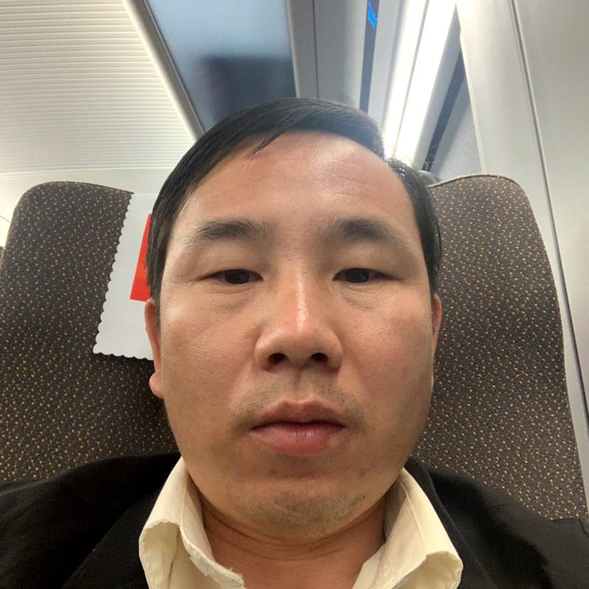 小海豚遇見迅速的照片