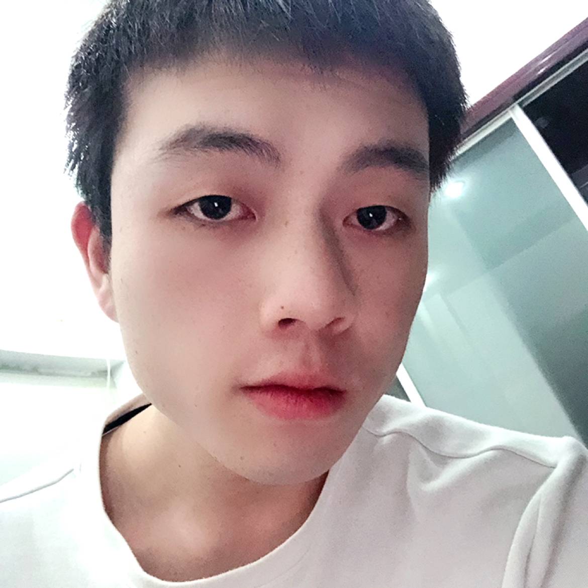 的照片