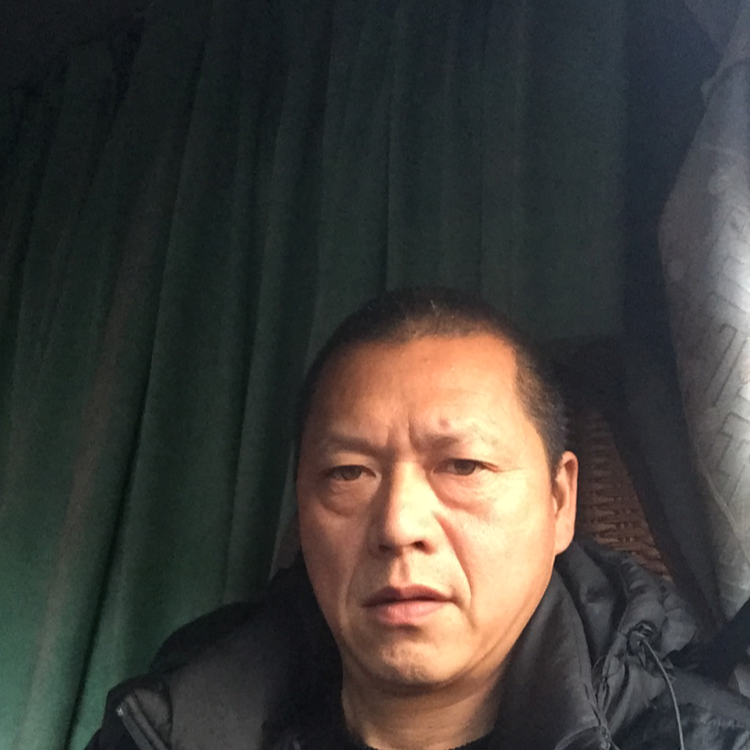 漠然说猫咪的照片