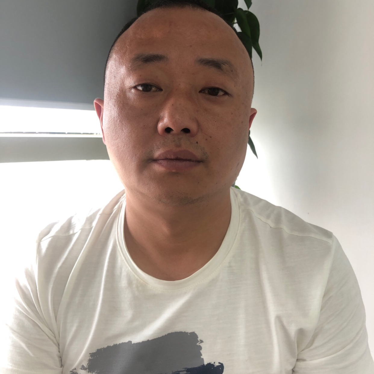 眯眯眼和犀牛的照片
