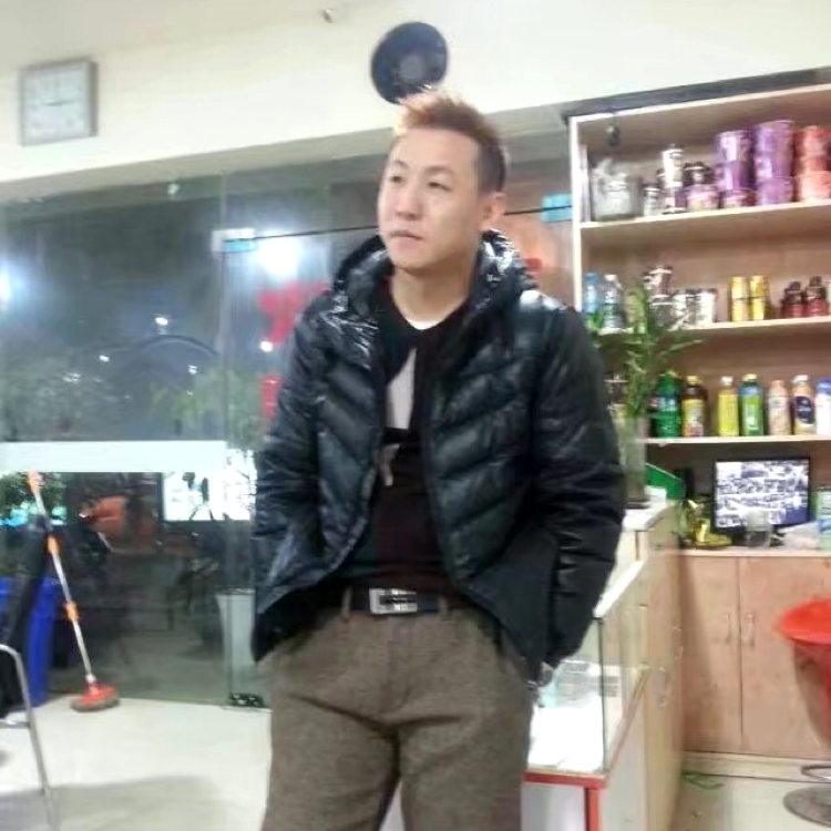 错落说小鸽子的照片