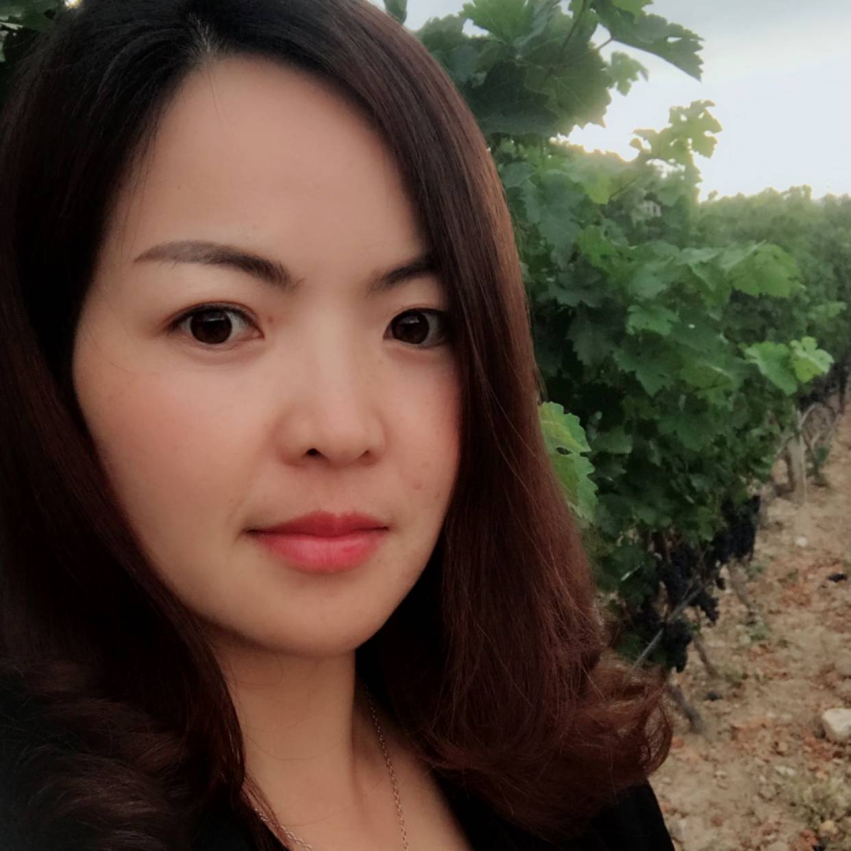 幻想在旅行的照片