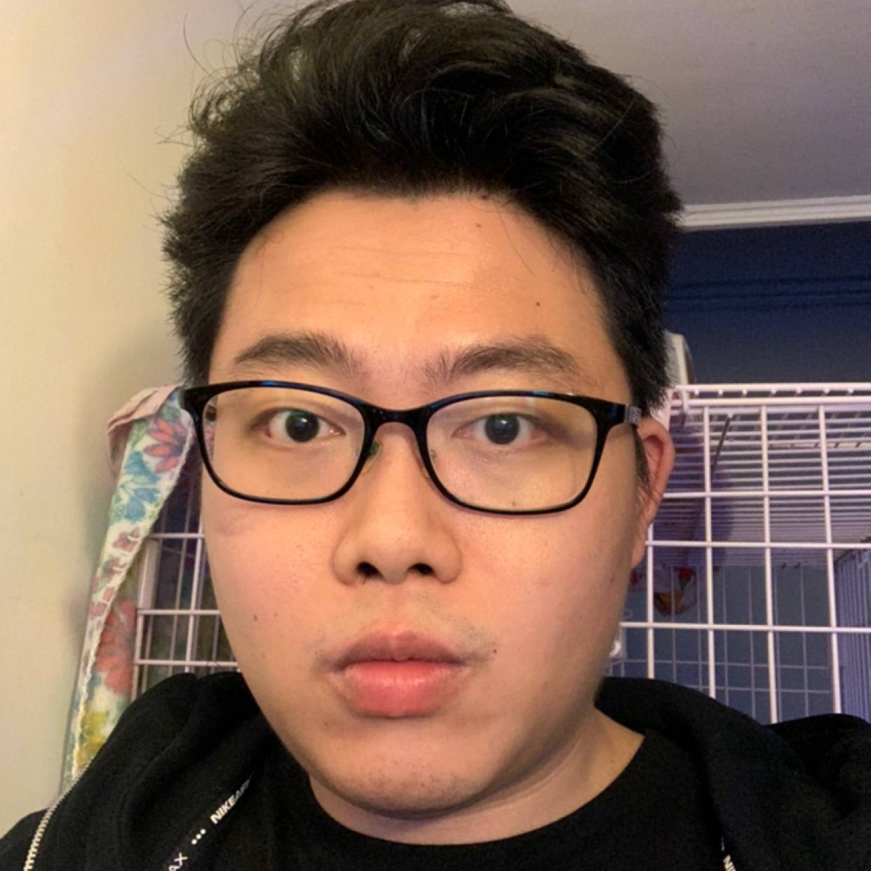 寻找梦想钯的照片