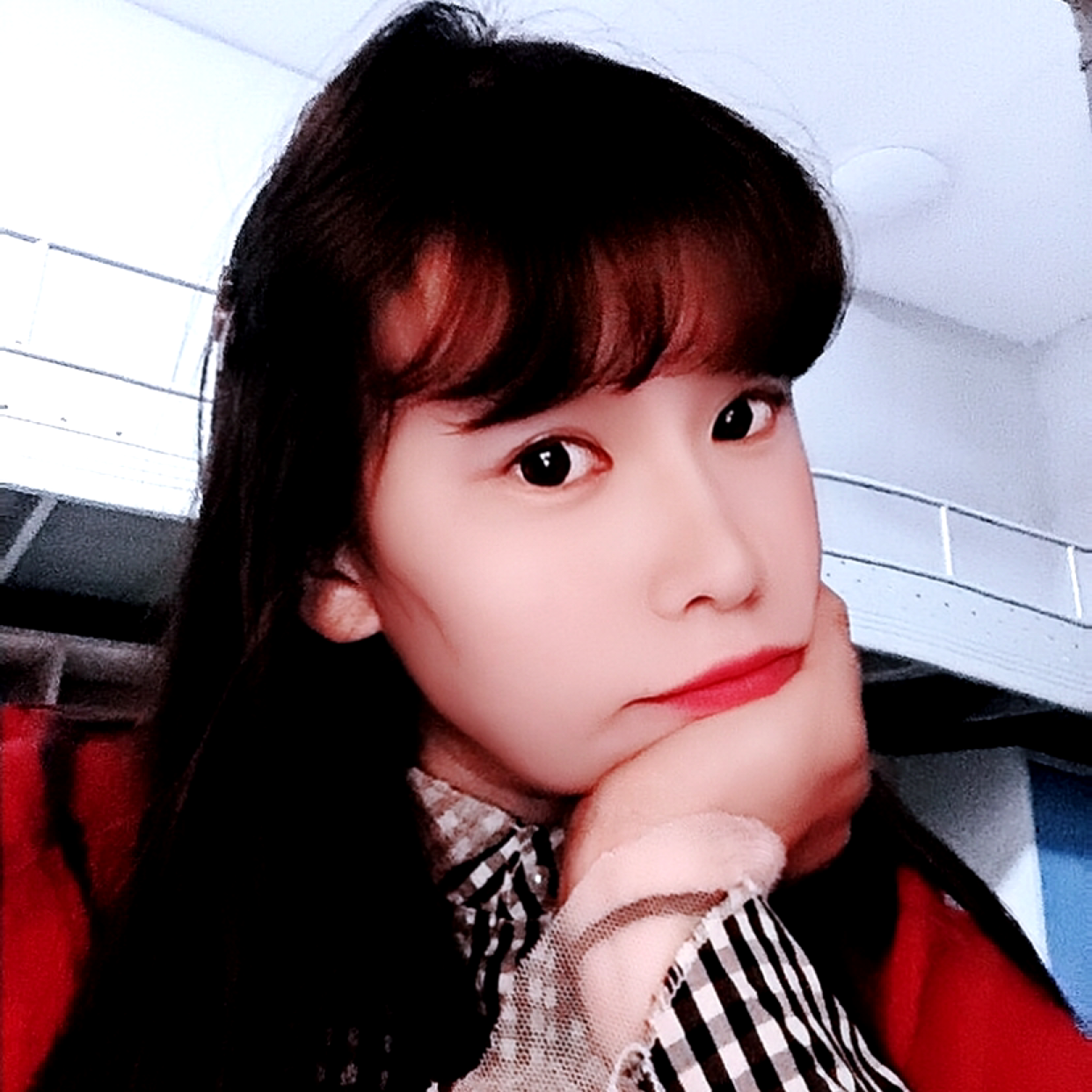 染来与.冉的照片