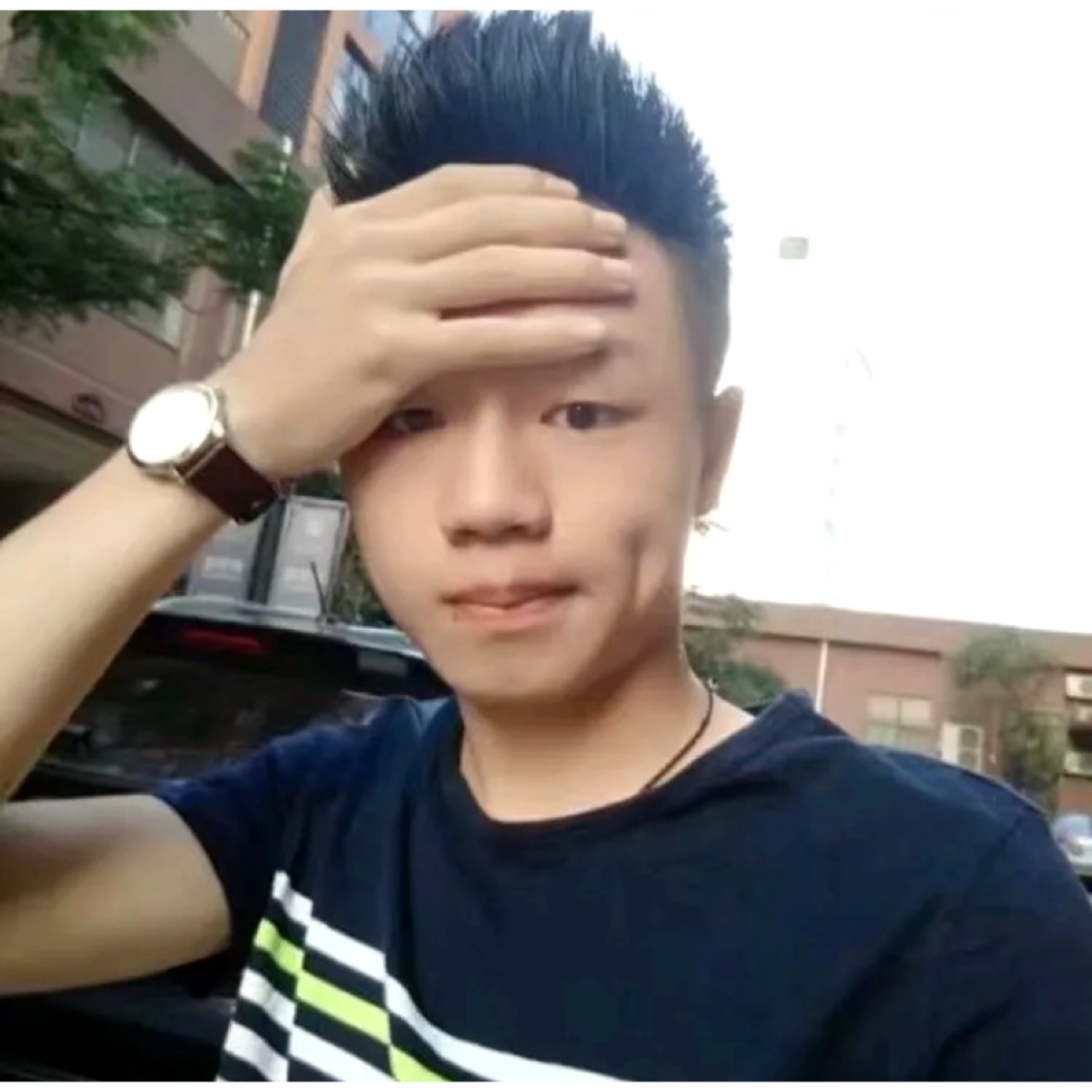 迷人迎乌龟的照片