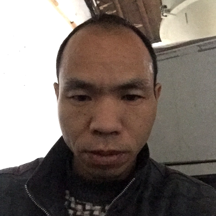 狗方苗条的照片