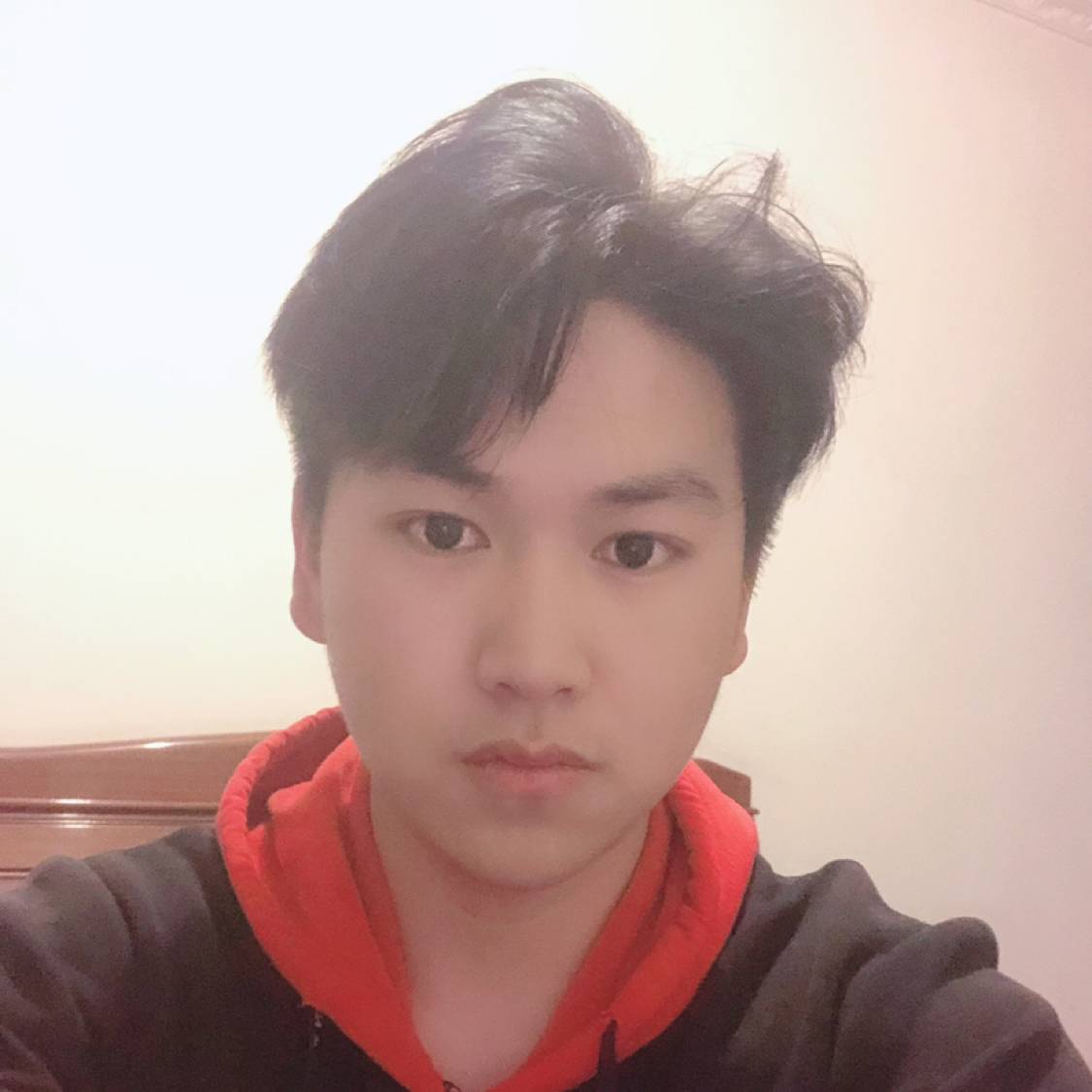 不听话的笑灰狼的照片