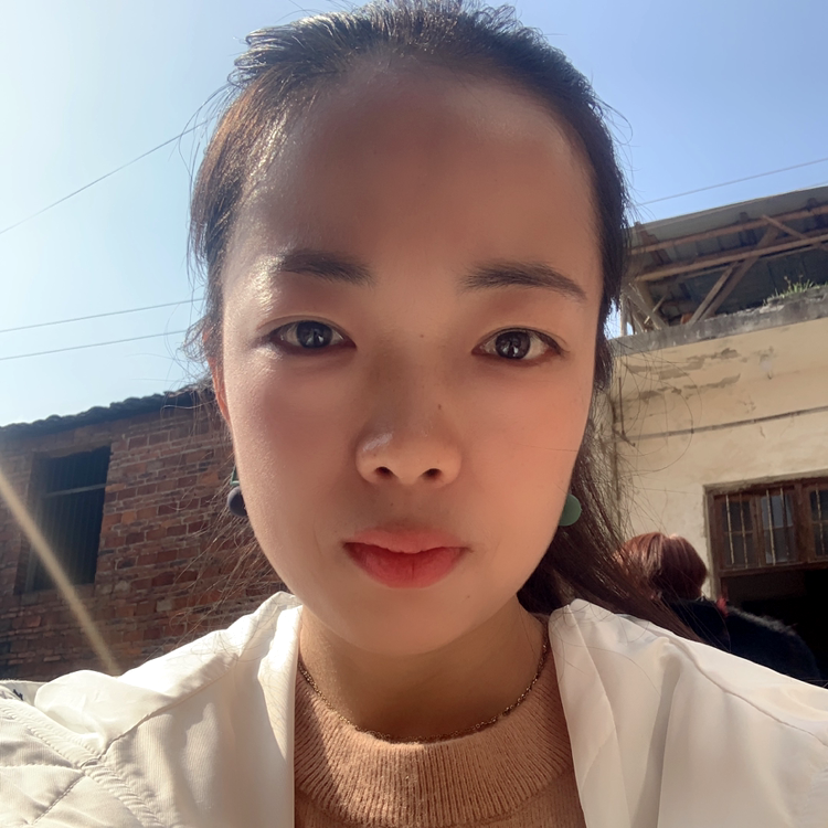 斑马殷勤的照片