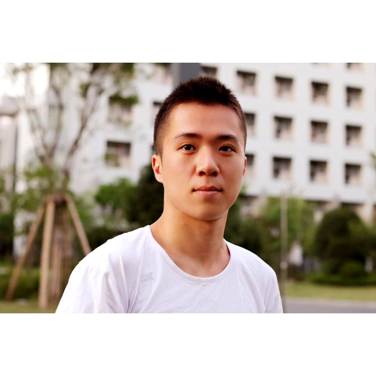 蚂蚁相许我们的的照片