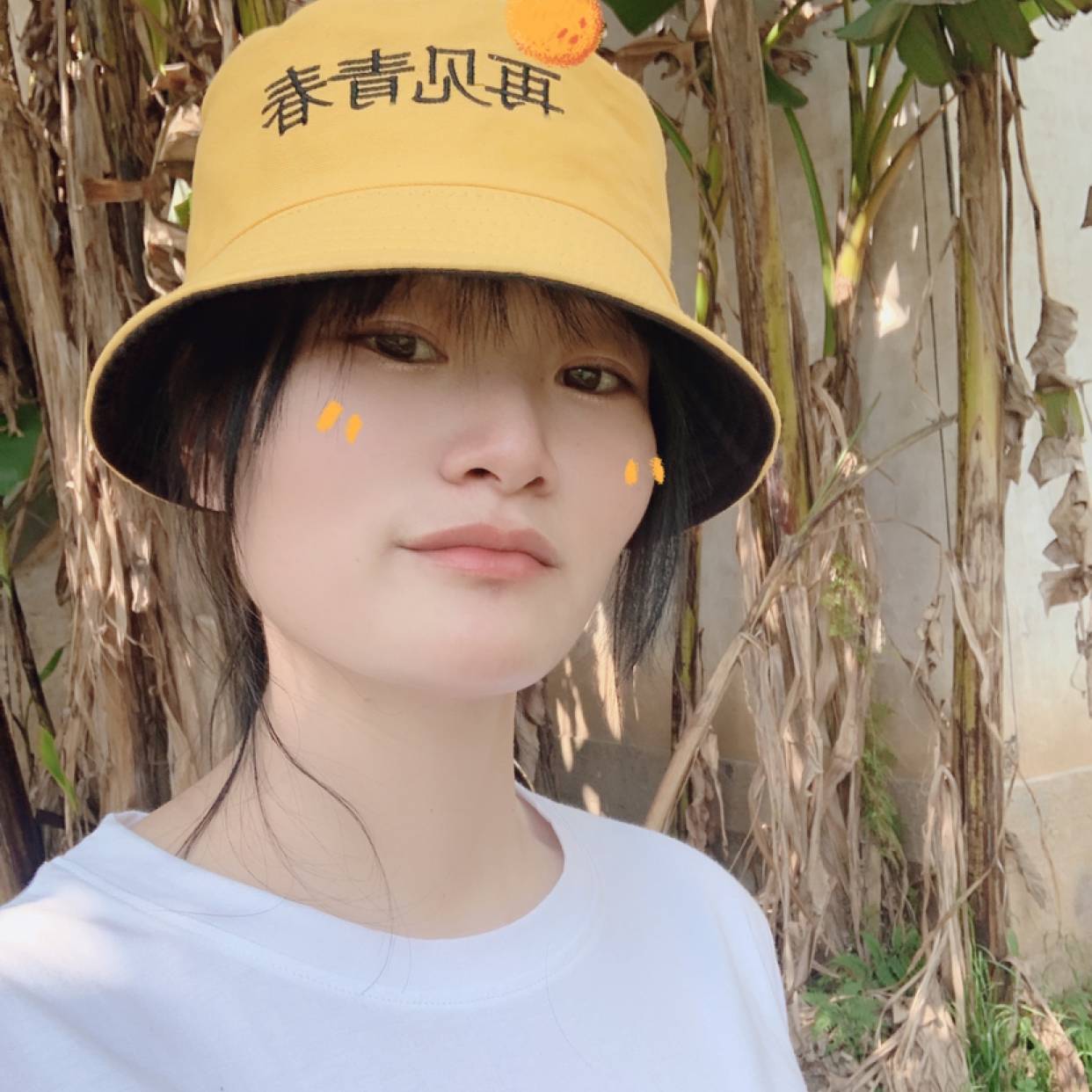 忘忧扯和谐的照片