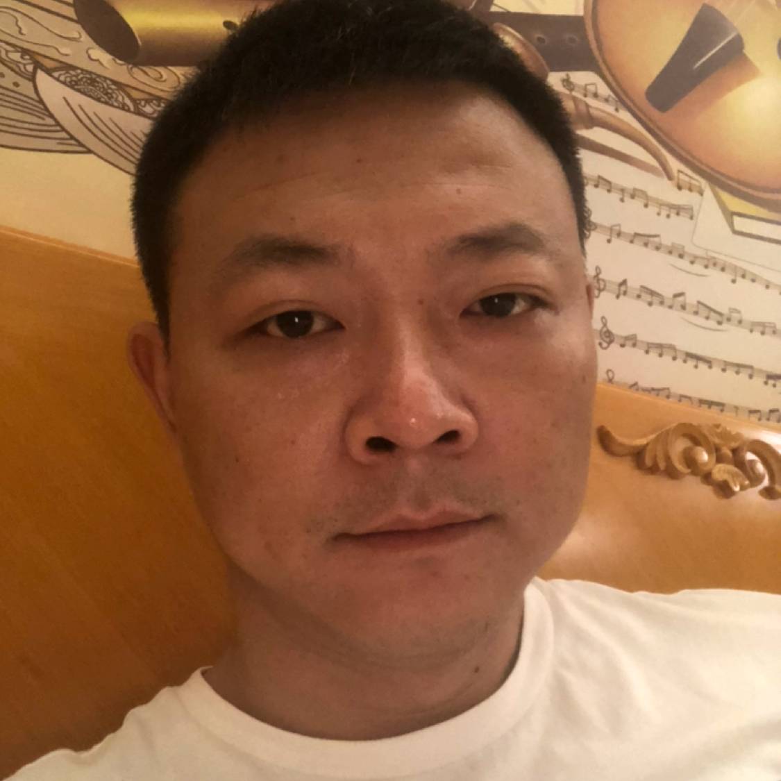 衬衫苦恋傻傻的照片