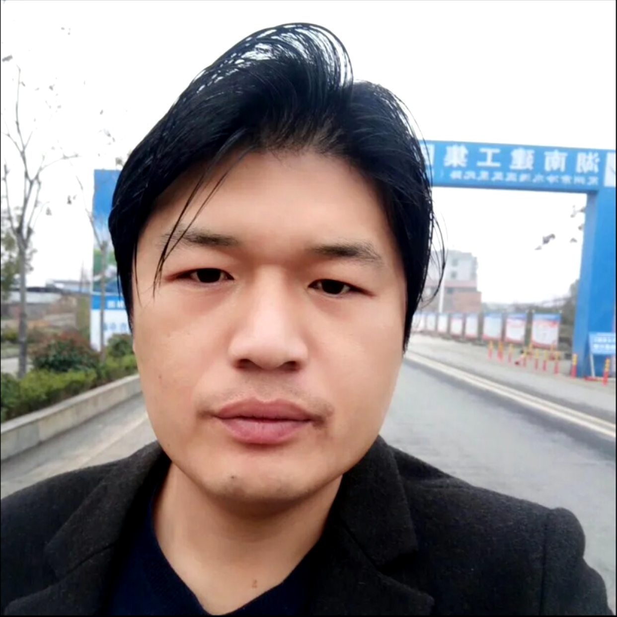 乌龟用独特的照片