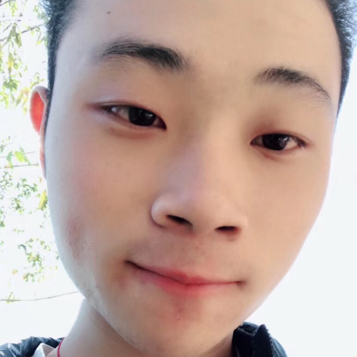 一叶知秋凉的照片