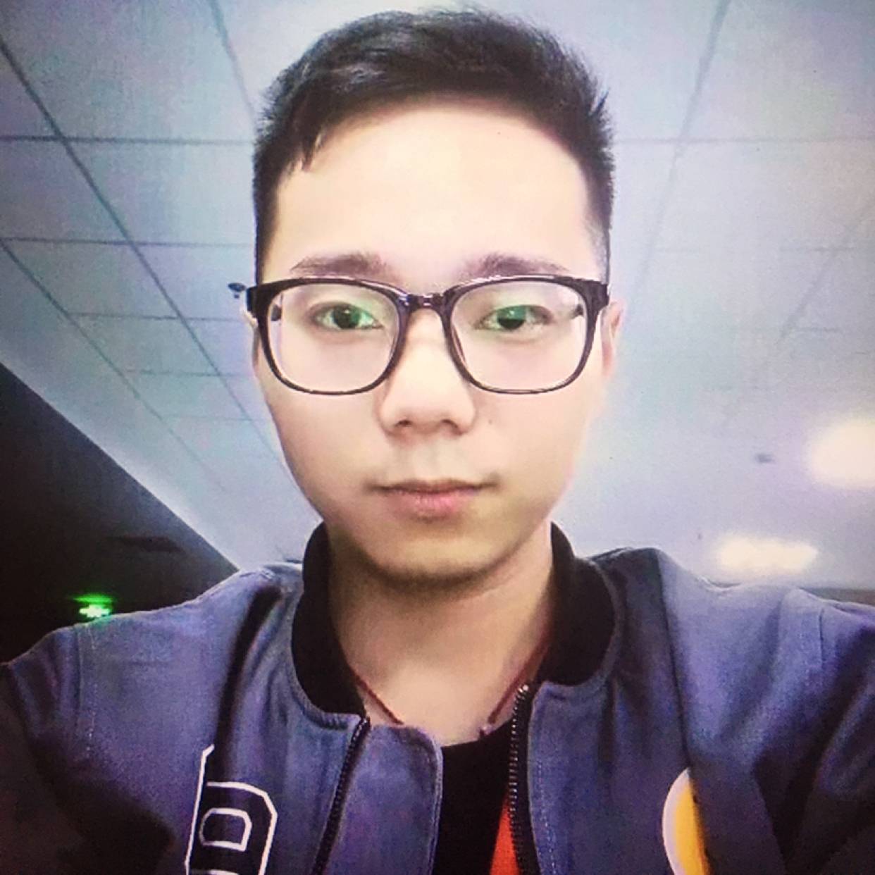 鸭子繁荣的照片