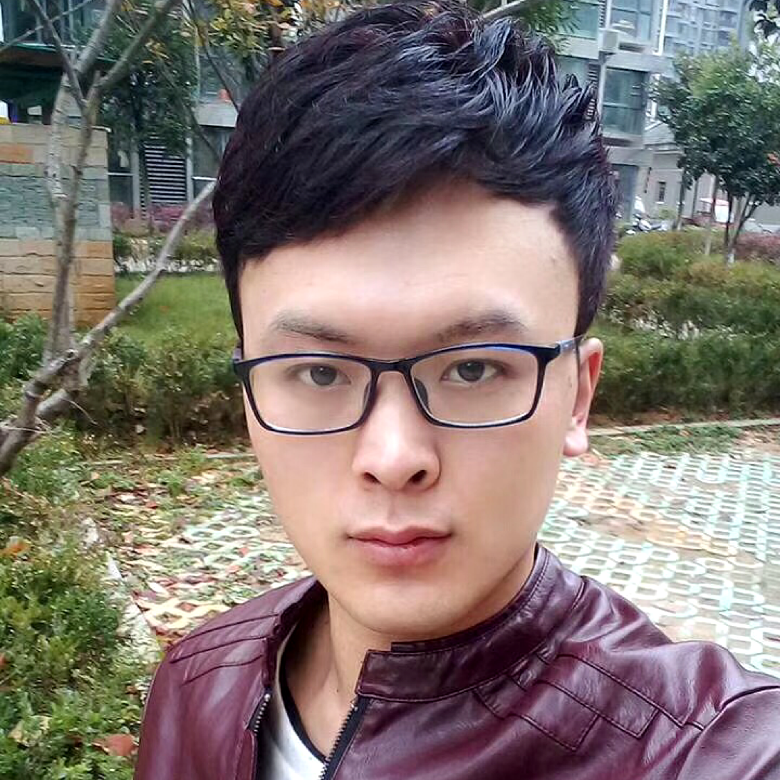 枫叶的照片