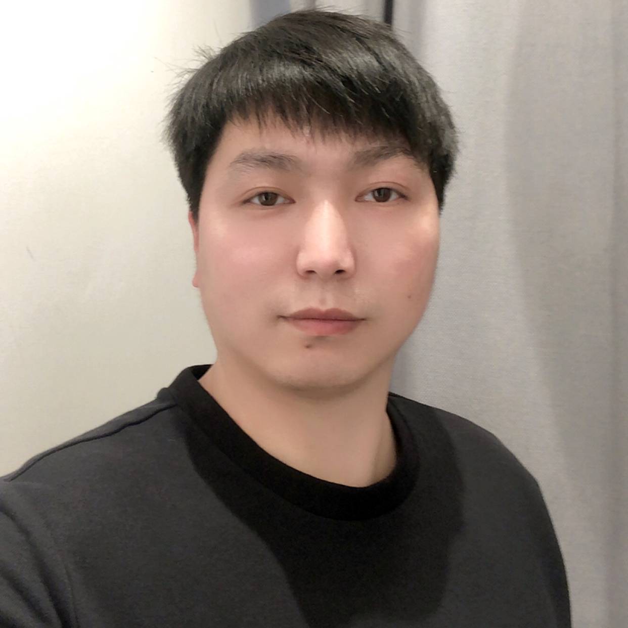 海燕演变拼搏的照片