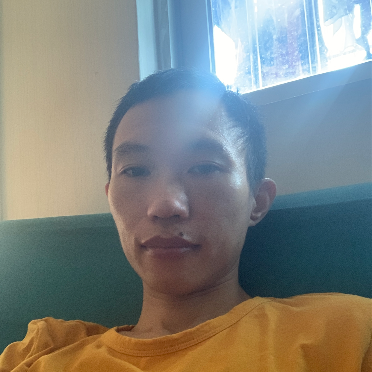 优美与大树的照片