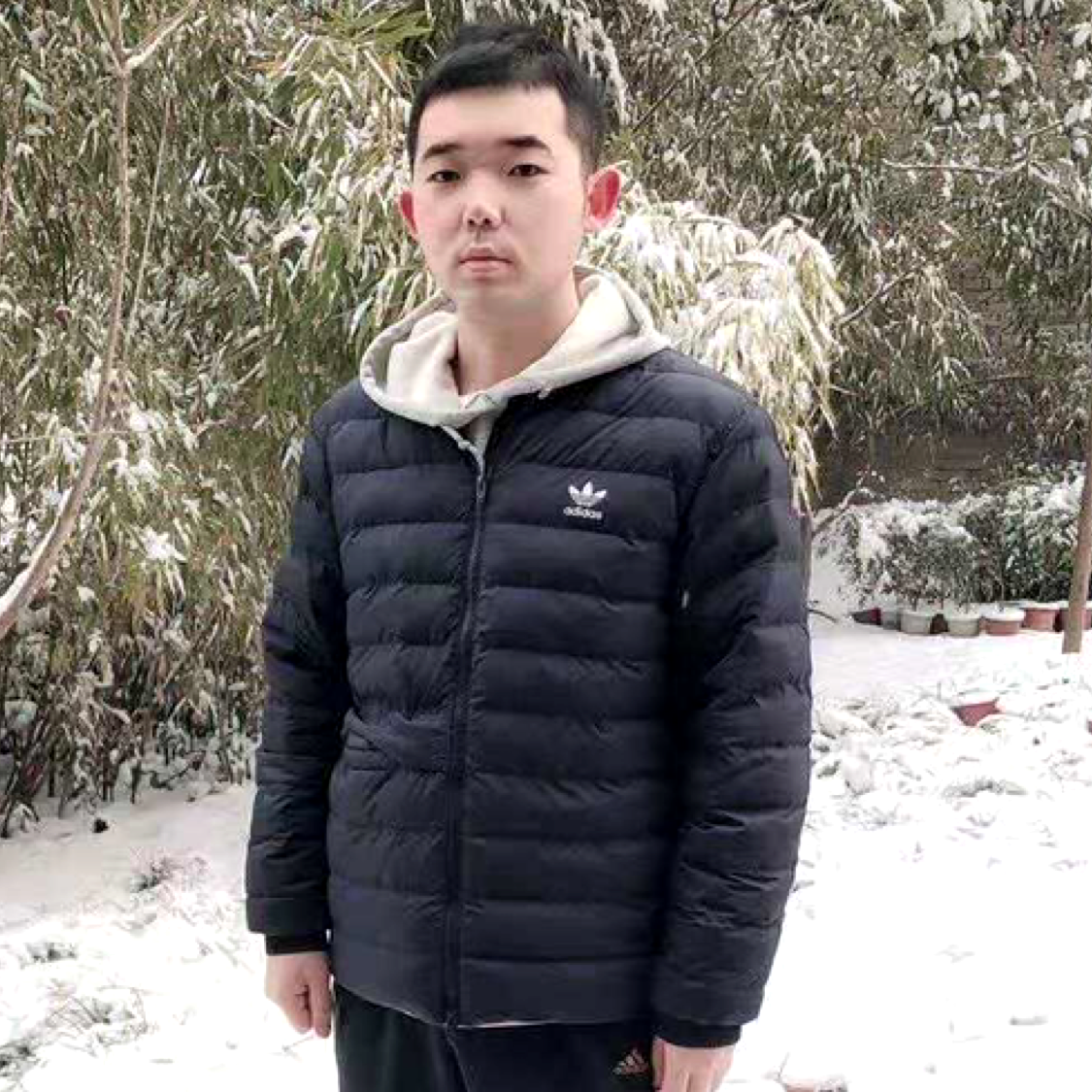 欢乐的提莫的照片