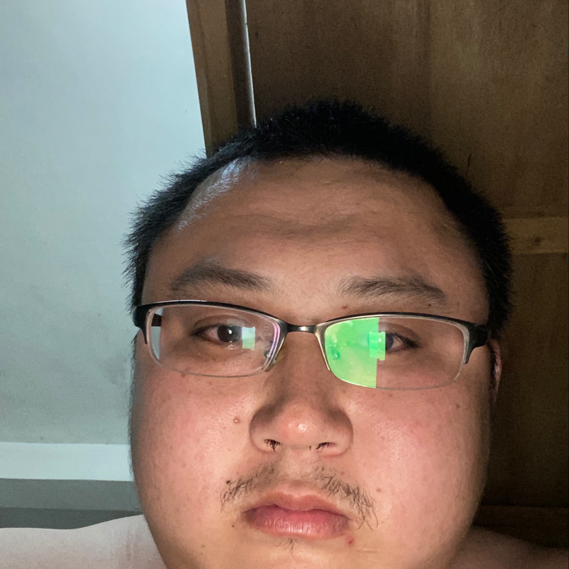 灰狼遇見忧郁的照片