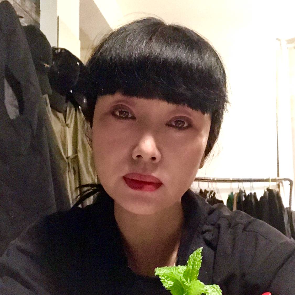 热带风情的照片