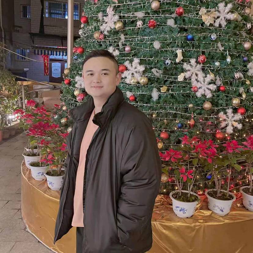 小马跑跑跑的照片