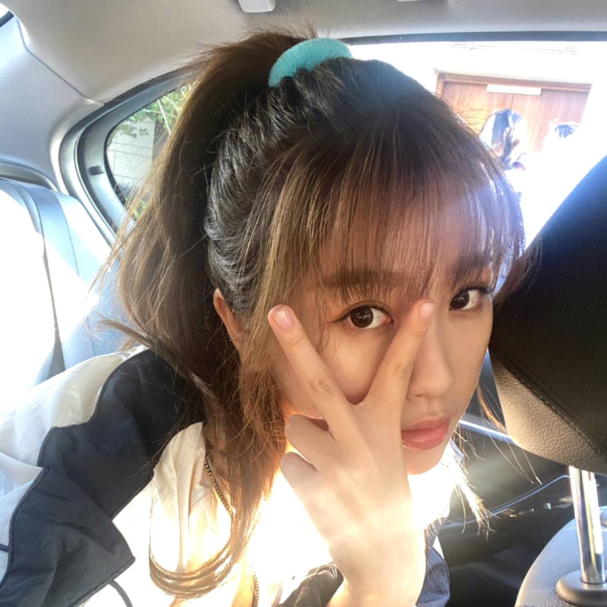 斑马挽手奋斗的照片