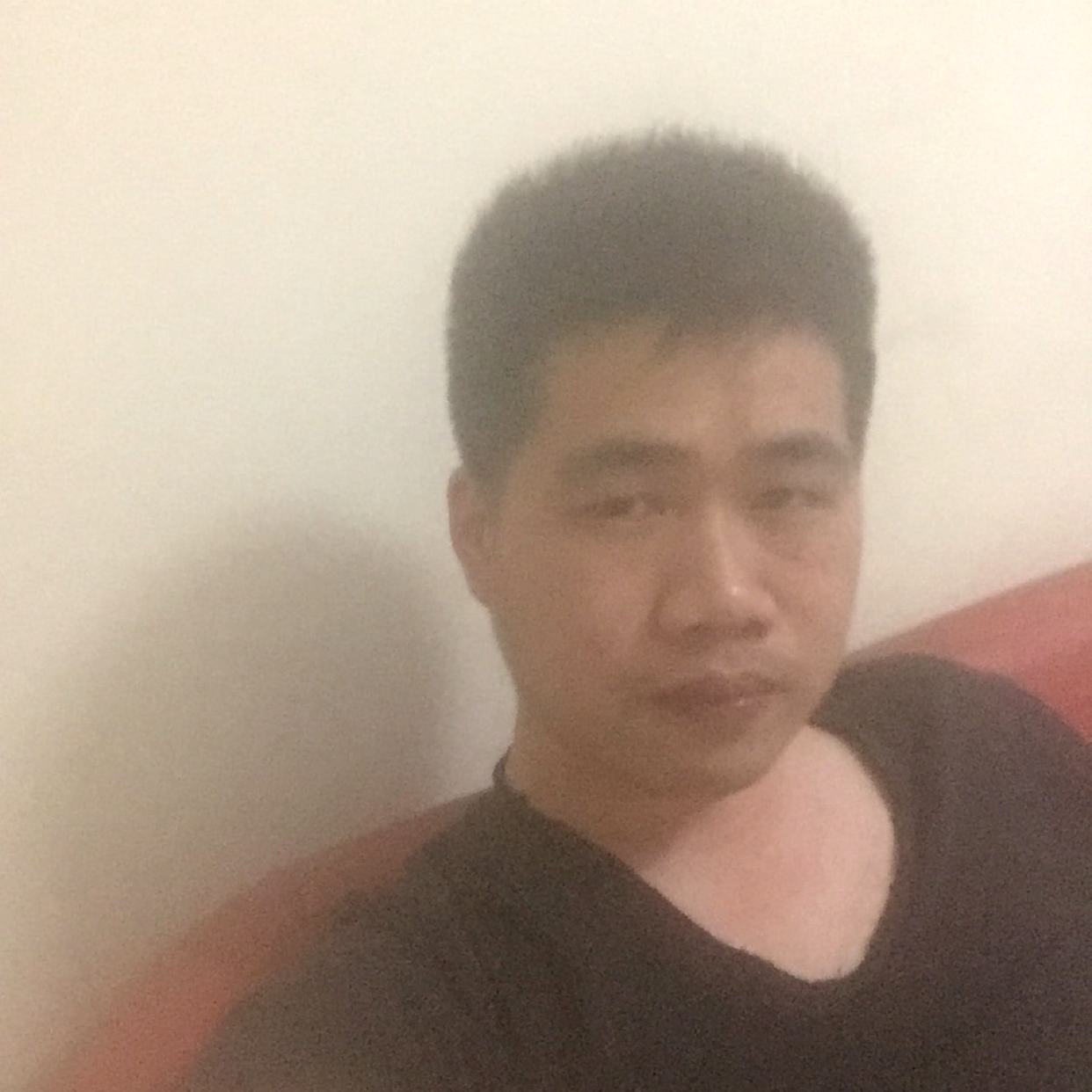 紫色迷茫的照片