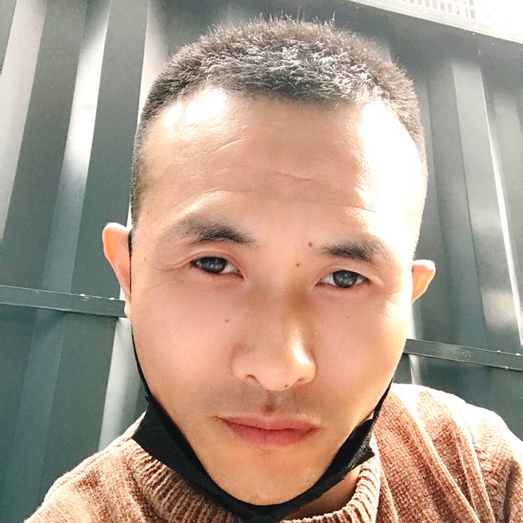 长颈鹿倾心留胡子的照片
