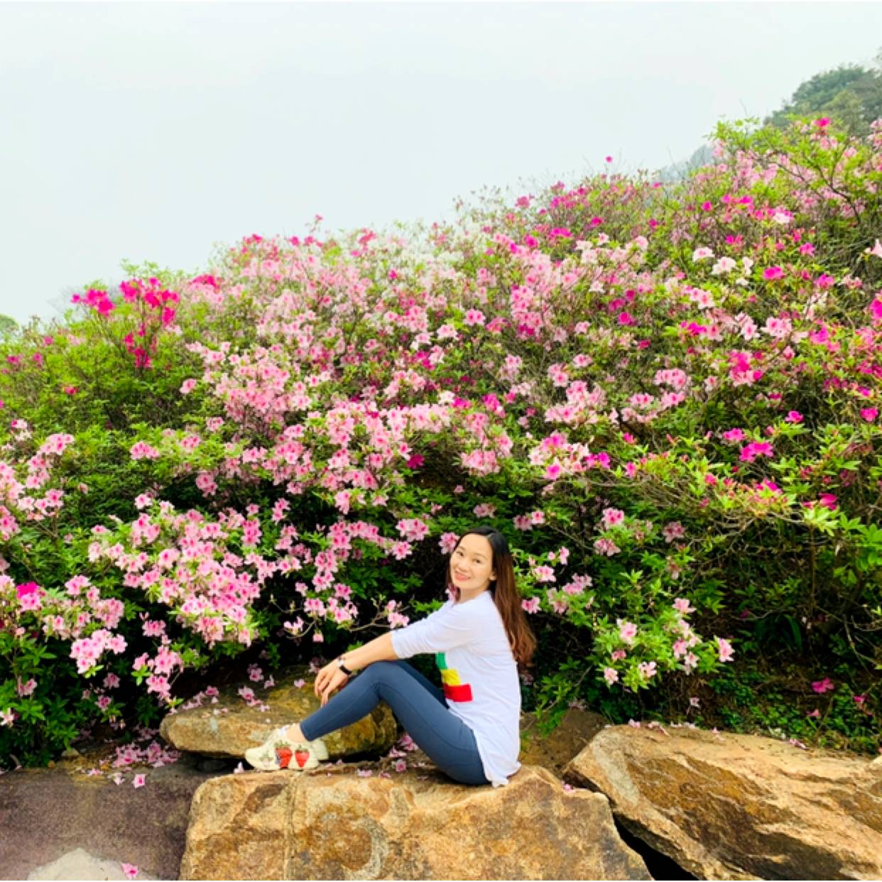 橘子聪明的照片