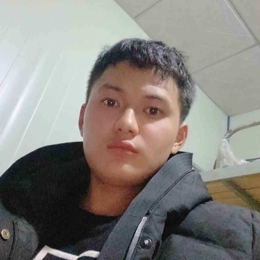 动于情-的照片