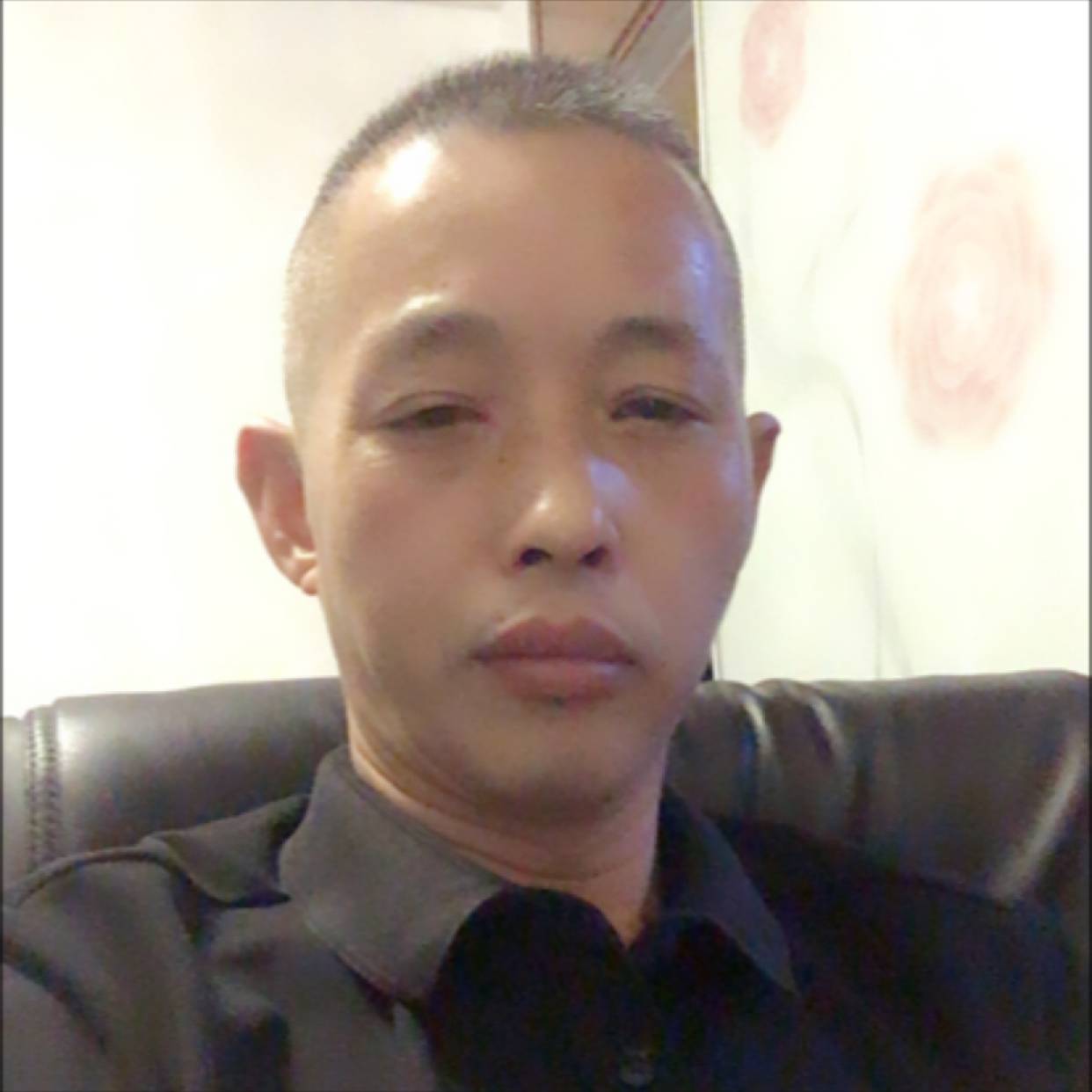 斑马迎无私的照片