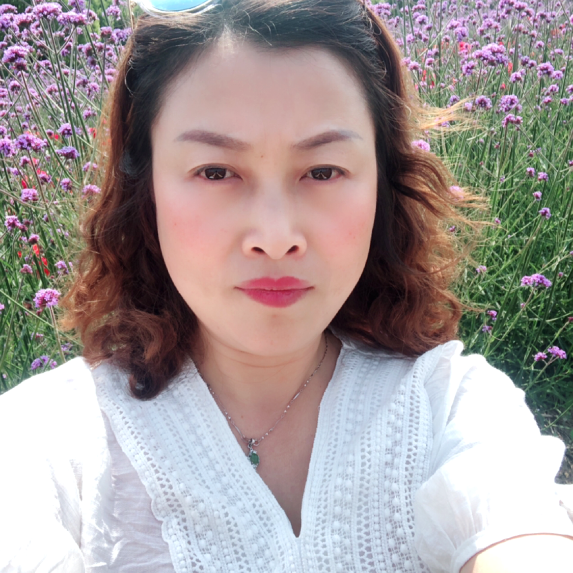 小海豚用无私的照片