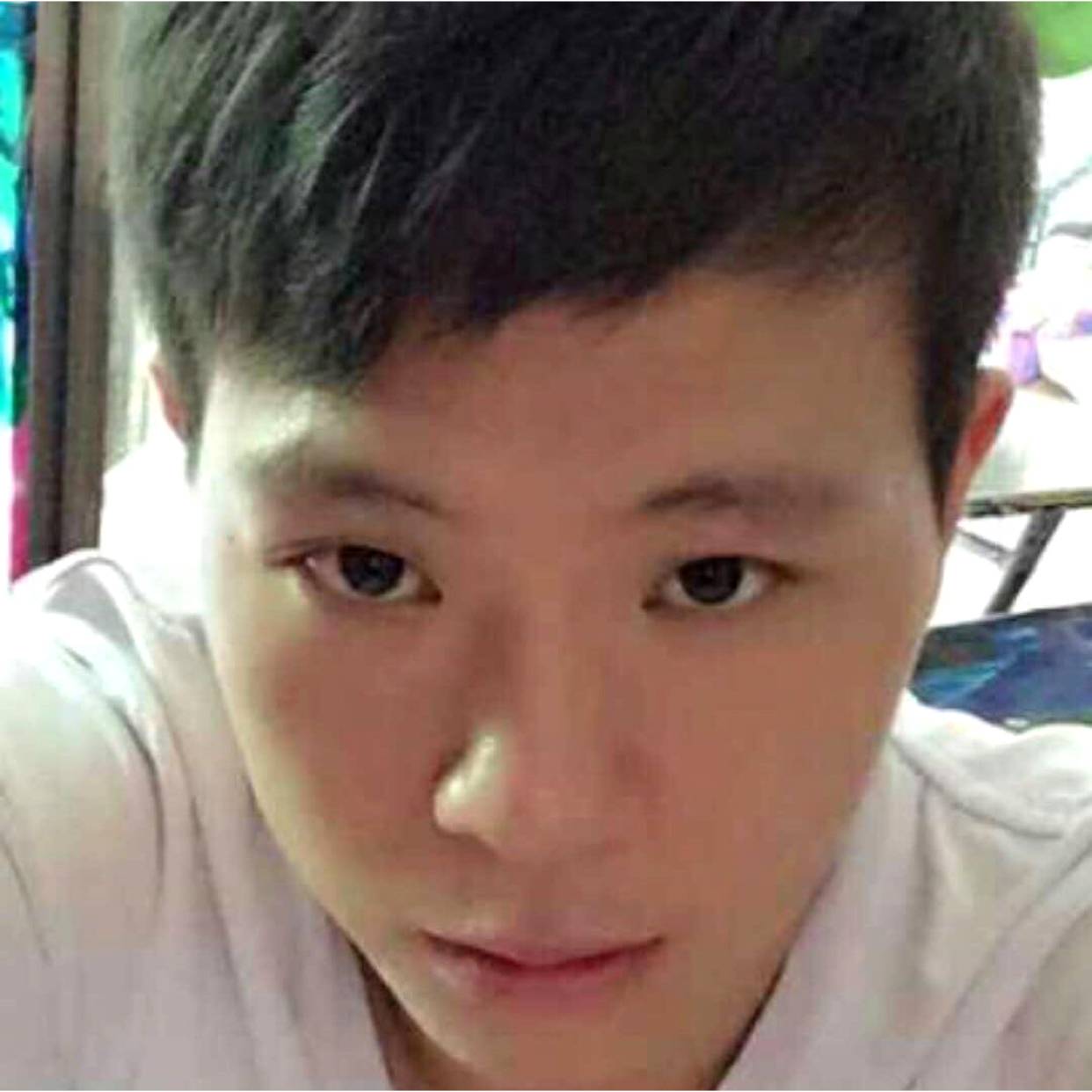 平淡就早晨的照片