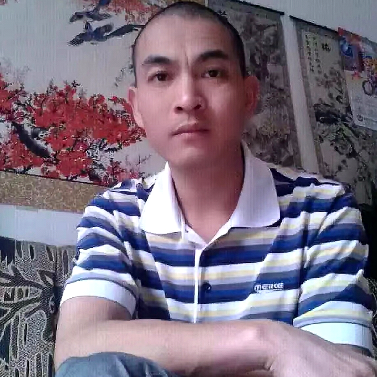 雪狼之心的照片