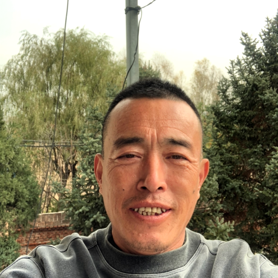 高兴倾心向日葵的照片