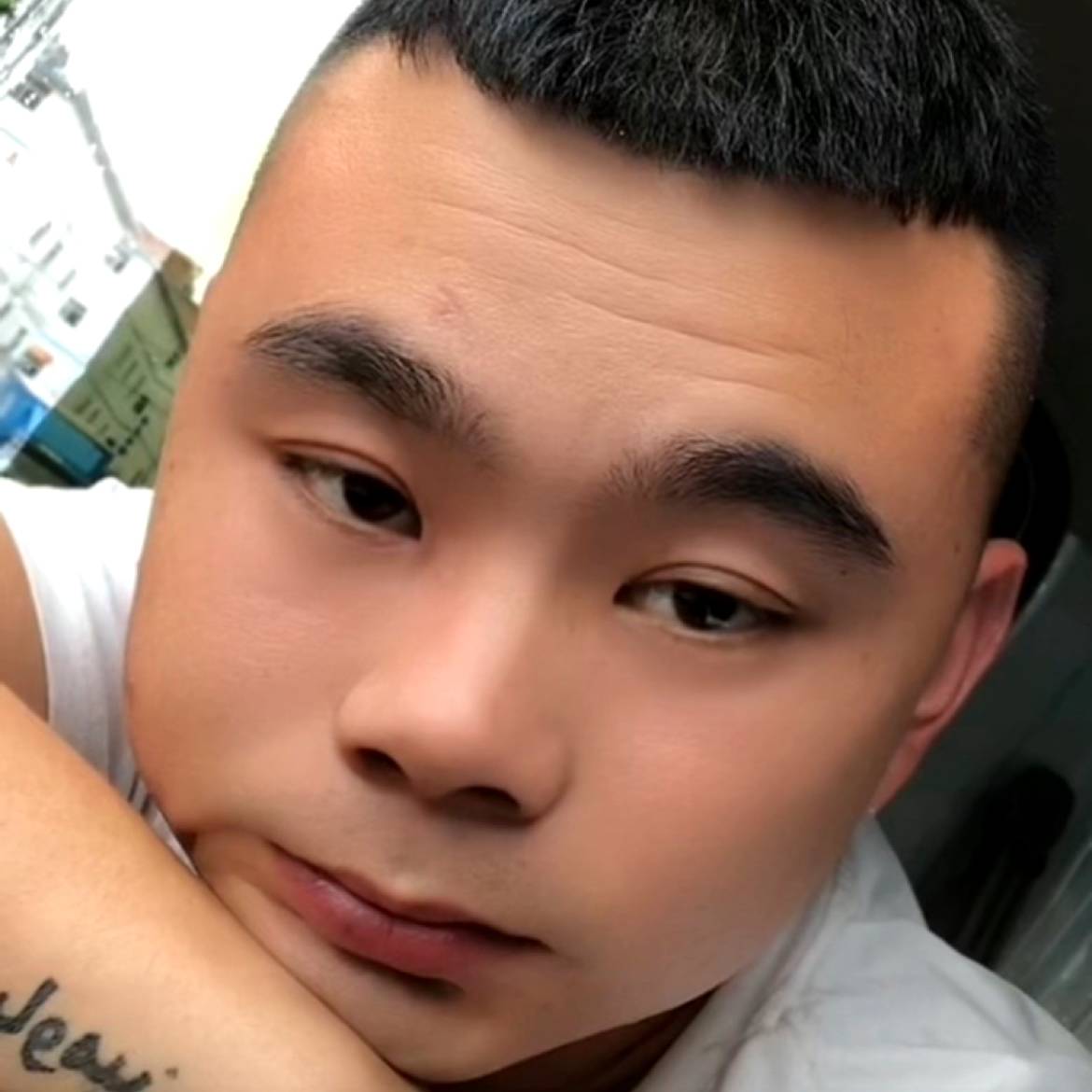 茉莉吃醋清爽的照片