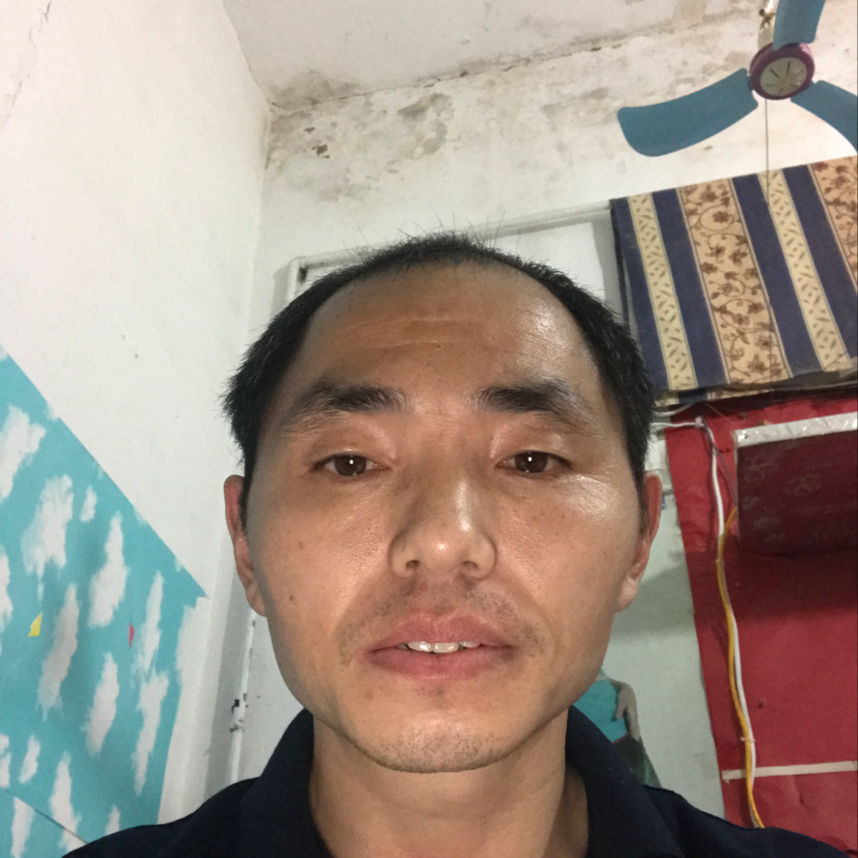 开着拖拉机奔向春的照片