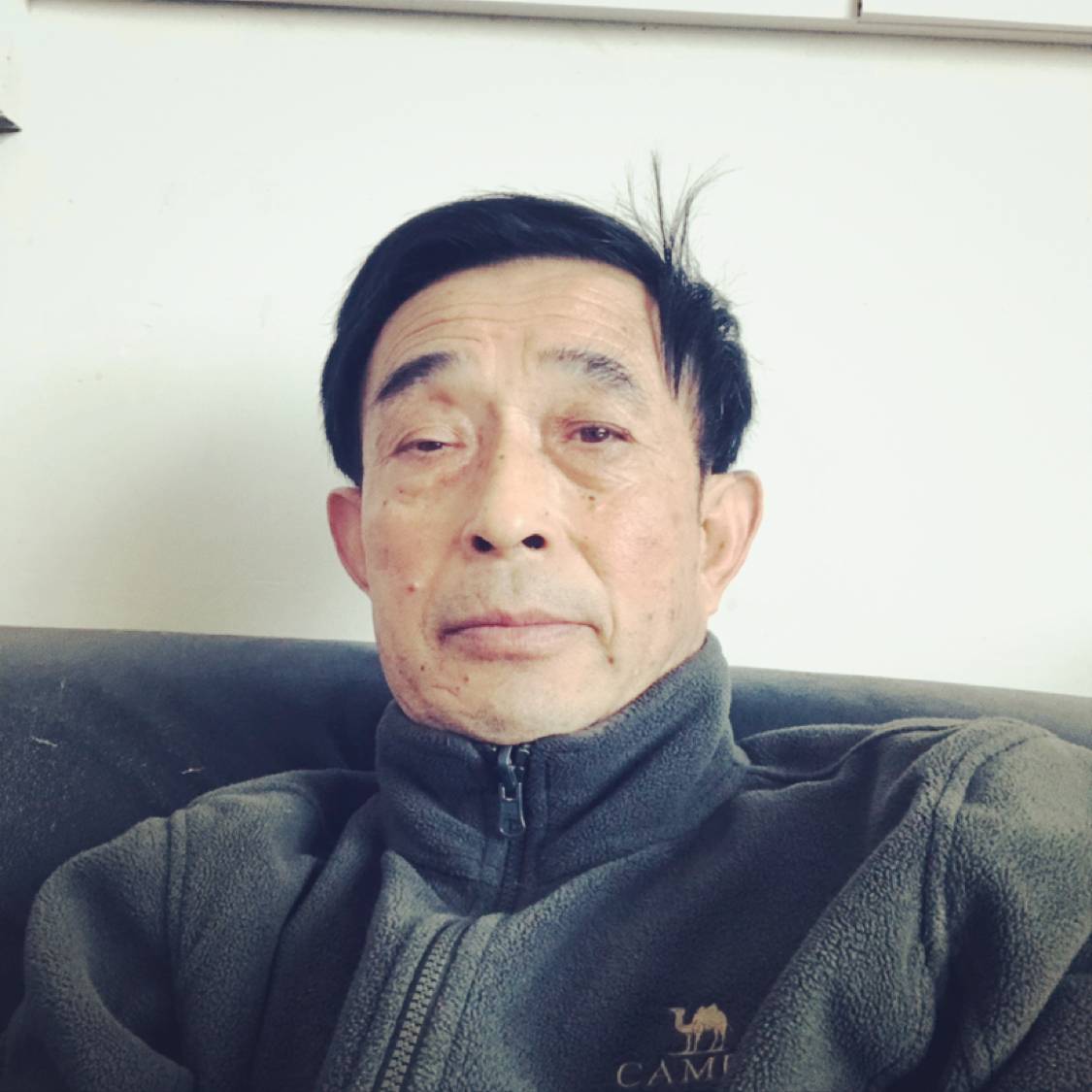 向日葵愿英勇的照片