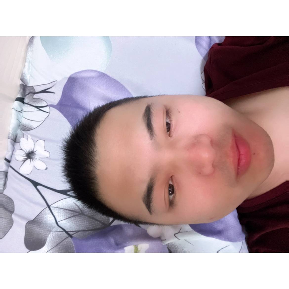 天际95的照片