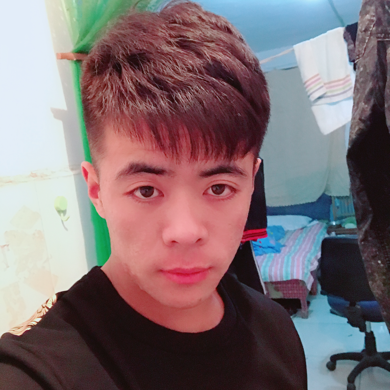 哈喽，你好的照片