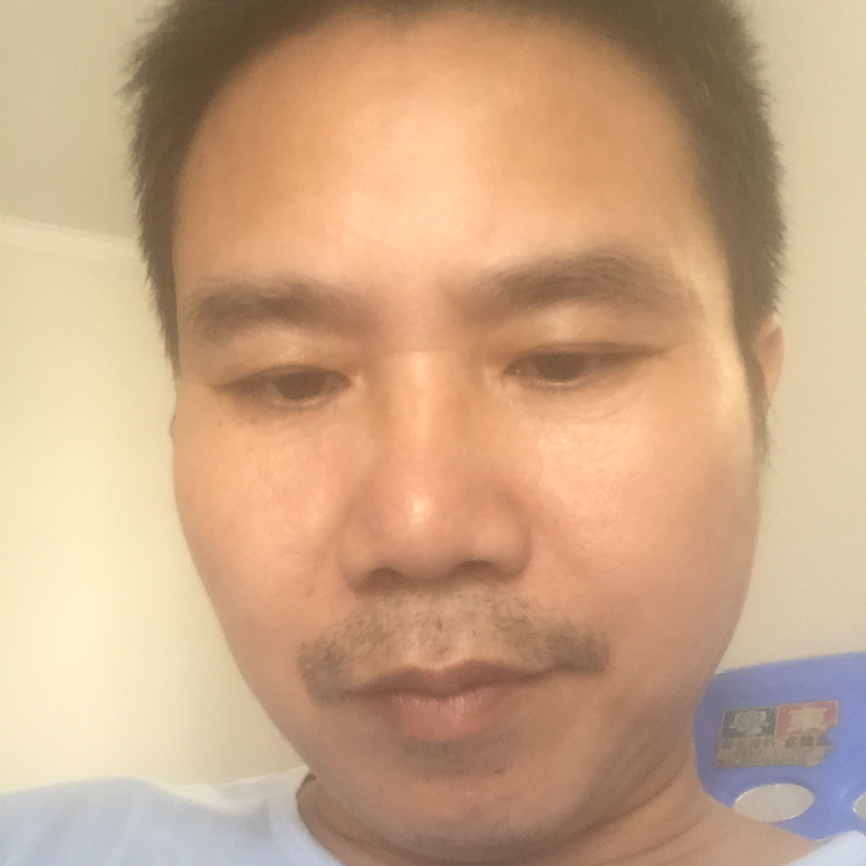 会思考的熊的照片