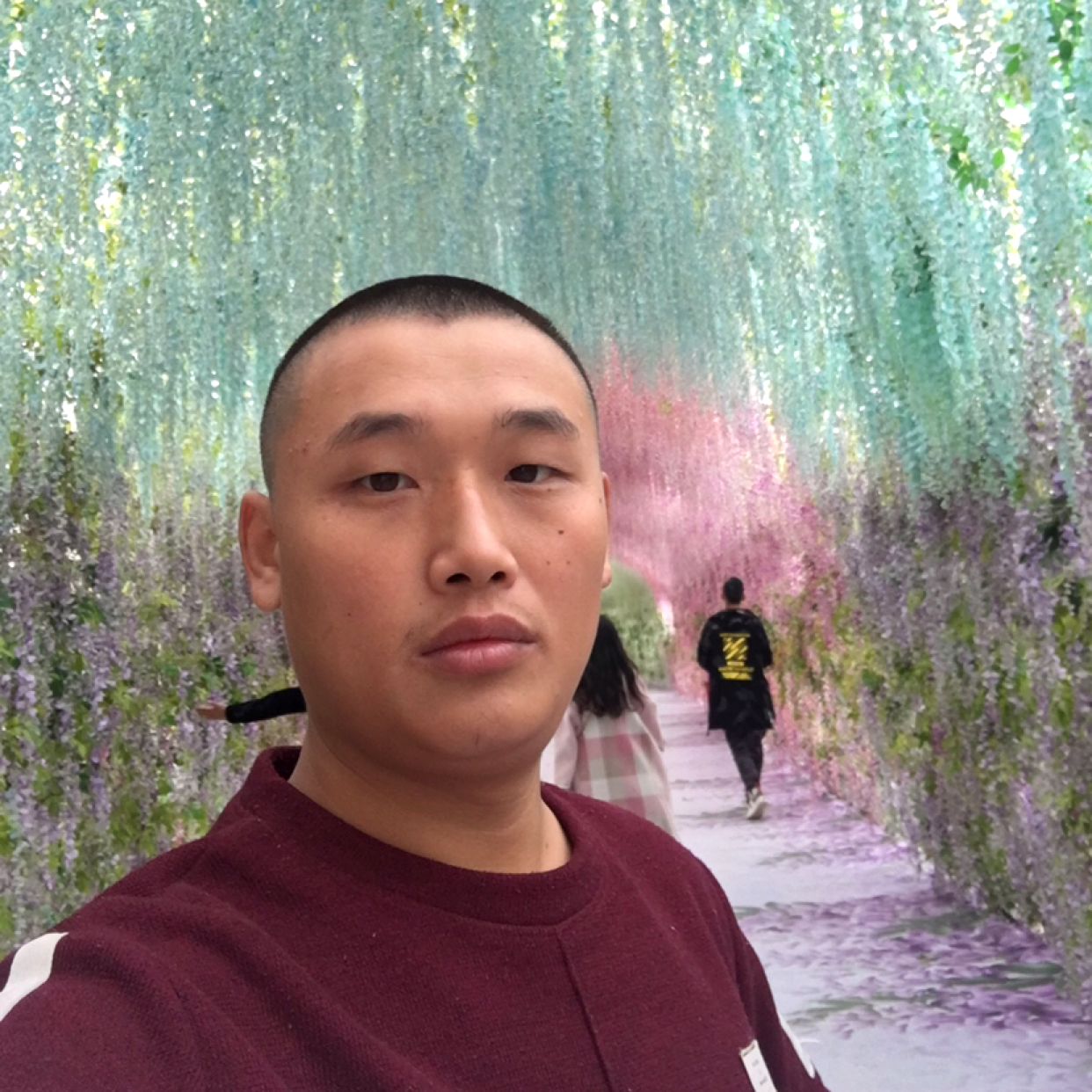 枫叶等于零碎的照片