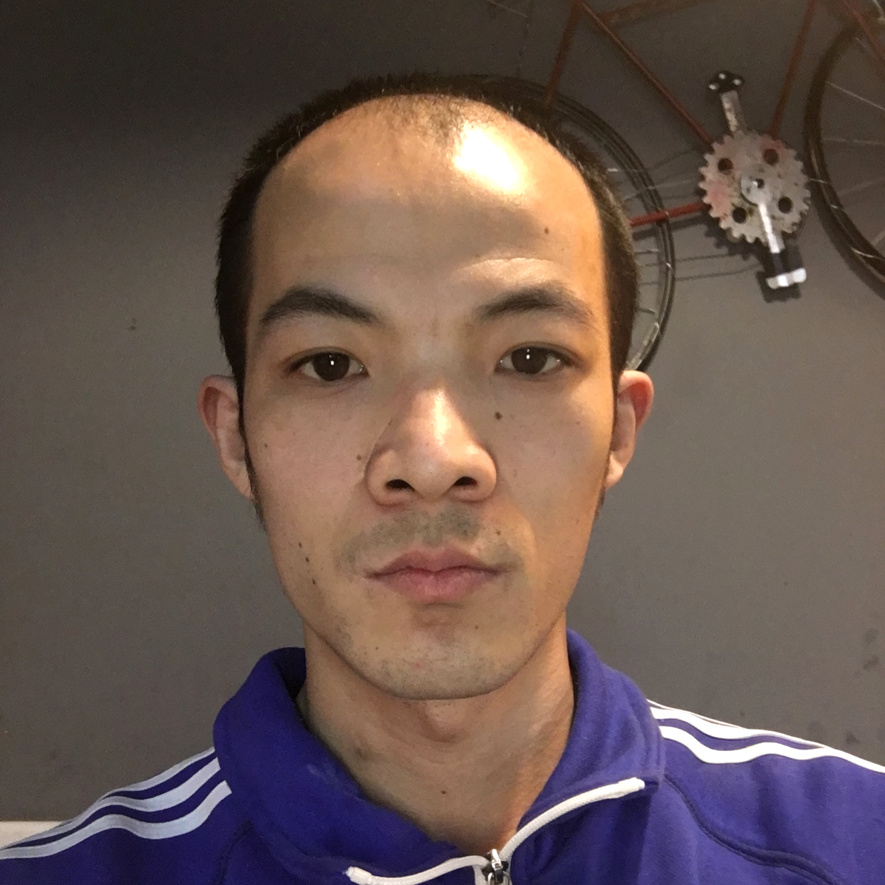 陶醉笑绿茶的照片